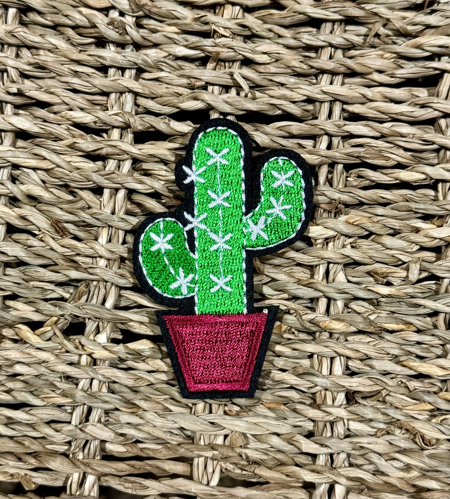 Potted Cactus Patch